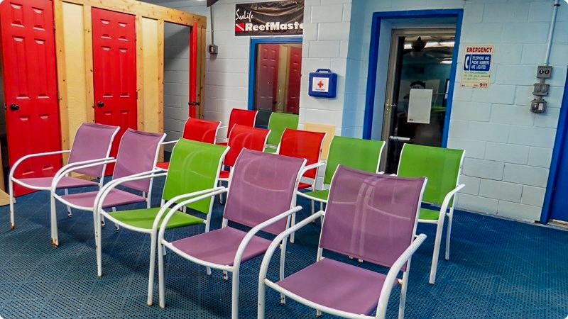 Row of colorful chairs in front of red and tan doors; next to blue-framed doorway and white wall.