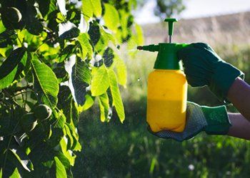 Burlington County Pest Control — Using Pesticide Against Pests in Medford, NJ Burlington County Pest Control — Using Pesticide Against Pests in Medford, NJ