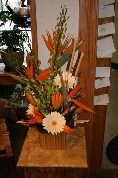 12994591_609081005910141_6623716288895302592_n — Special Occasions in Snowmass Village, CO