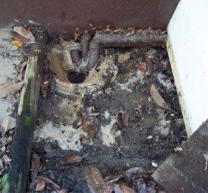 Drain services in Auckland