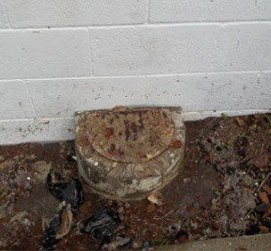 Drain repairs in Auckland