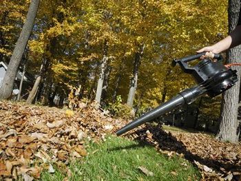 garden clearance