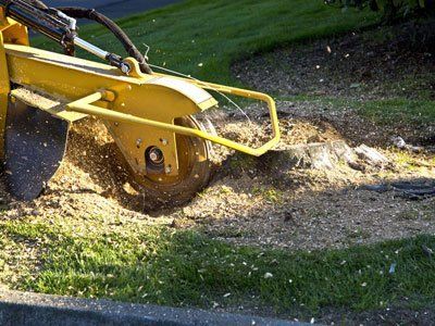 stump grinding