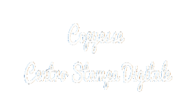stampa digitale pesaro