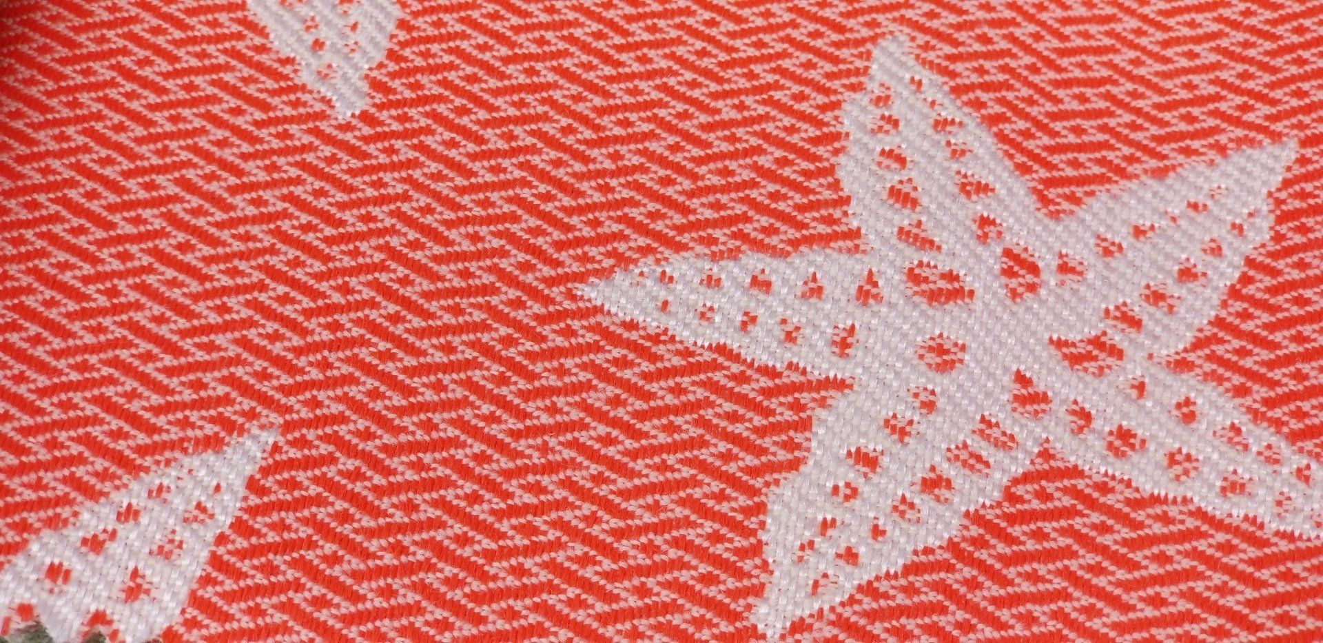 starfish on material