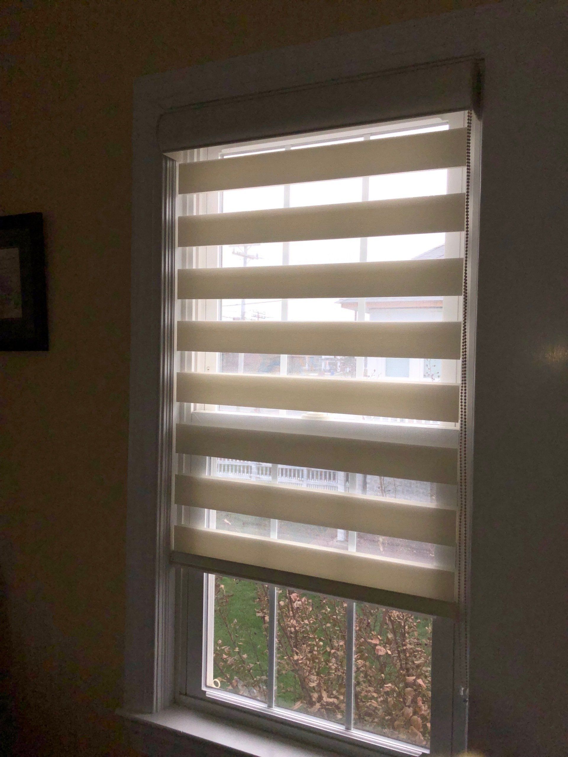 shades on a window