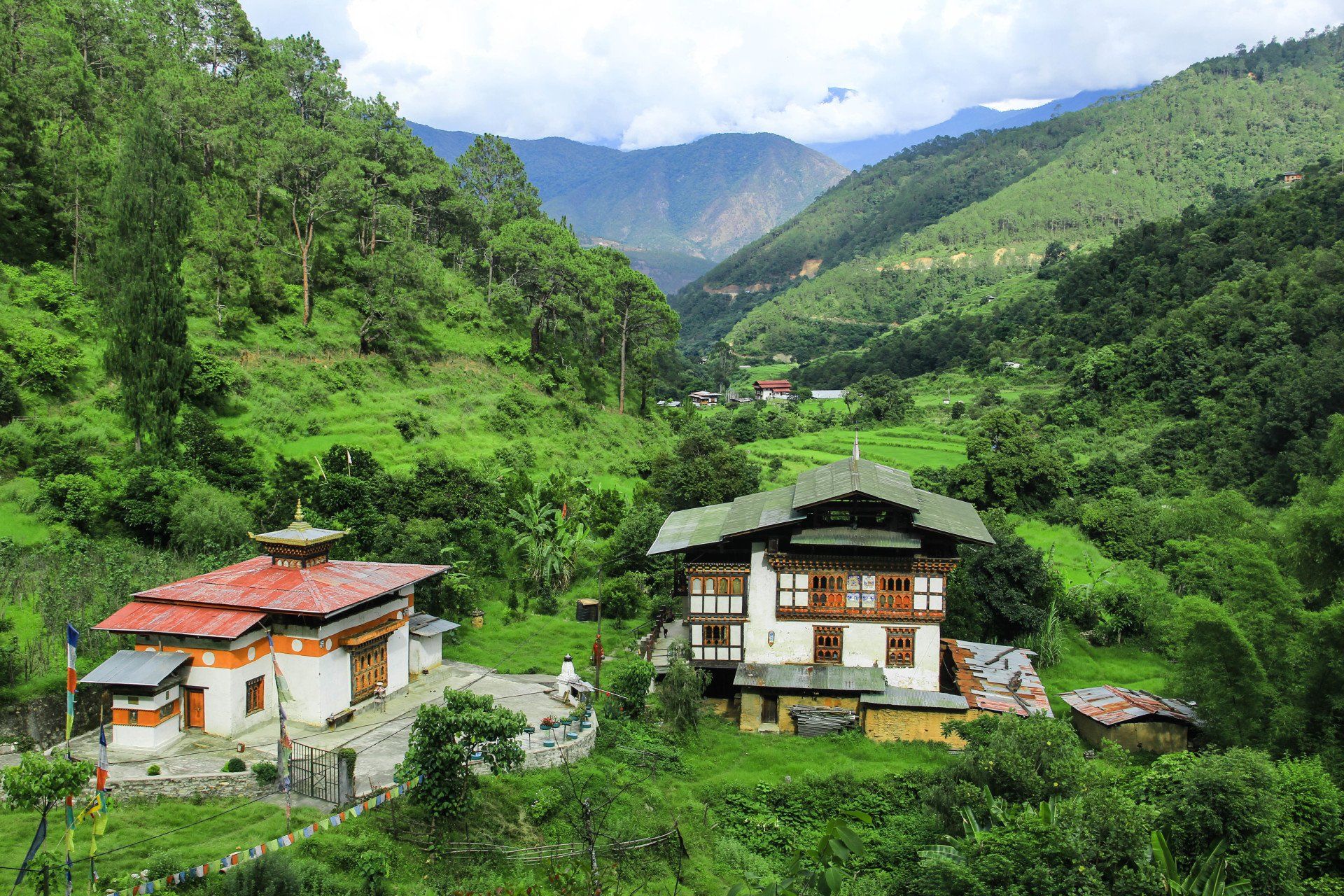 Divine Madman's Trail in Punakha