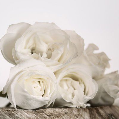 white roses