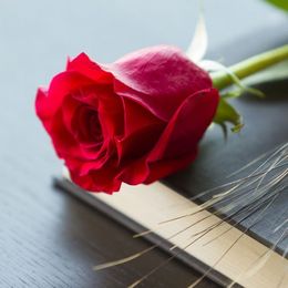 rose