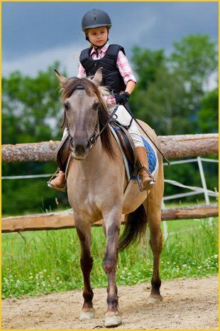 Riding Tuition