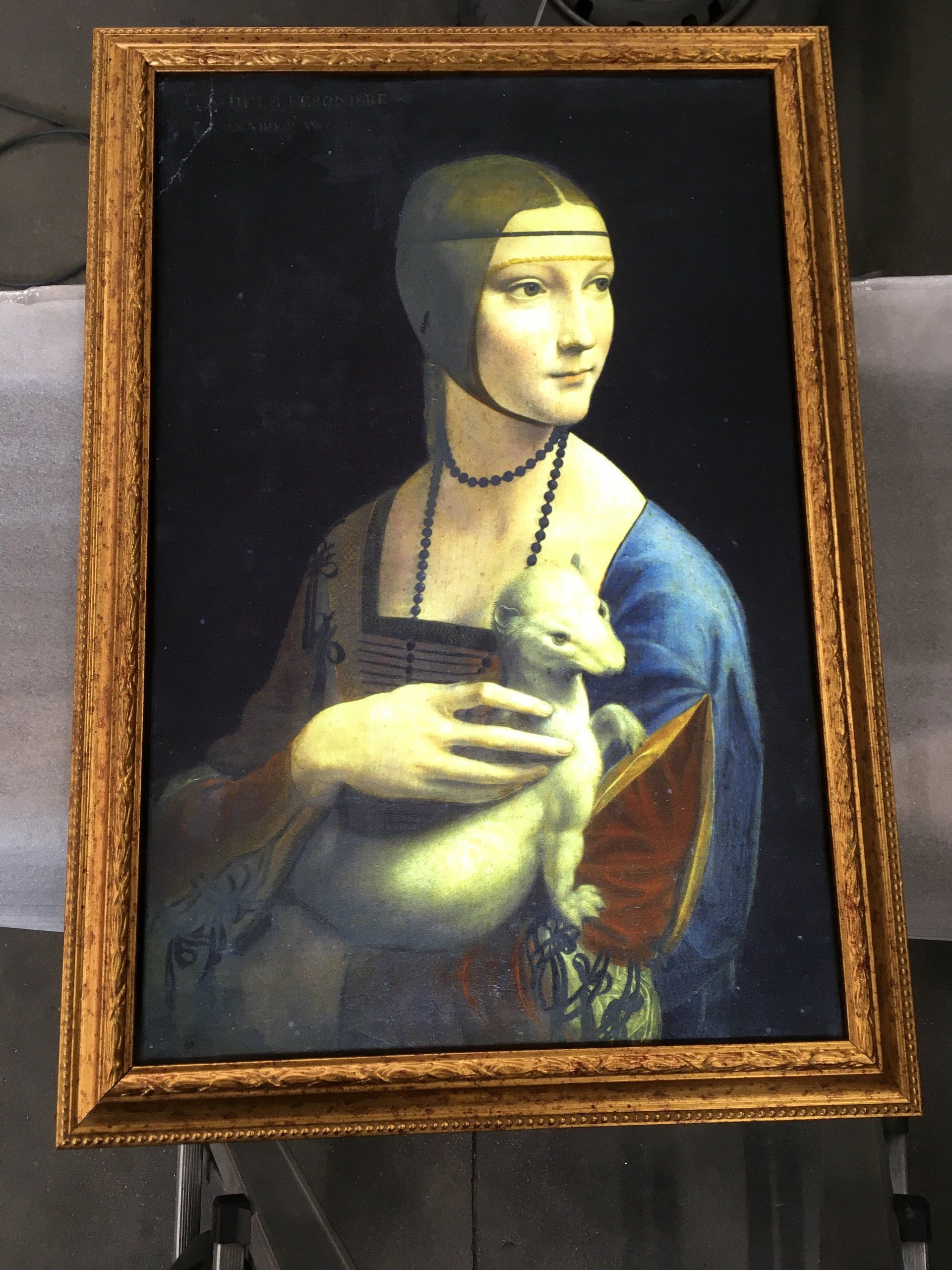 quadro luminoso di dama con l'ermellino
