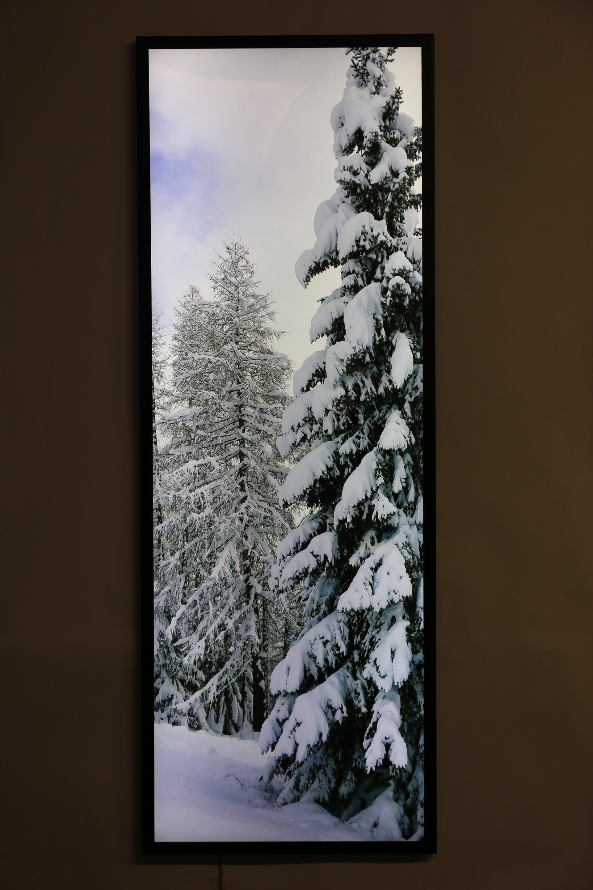 quadro luminoso di alberi innevati