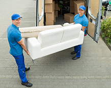 Domestic removals