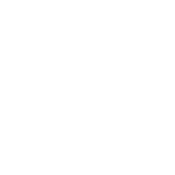 Icona Design
