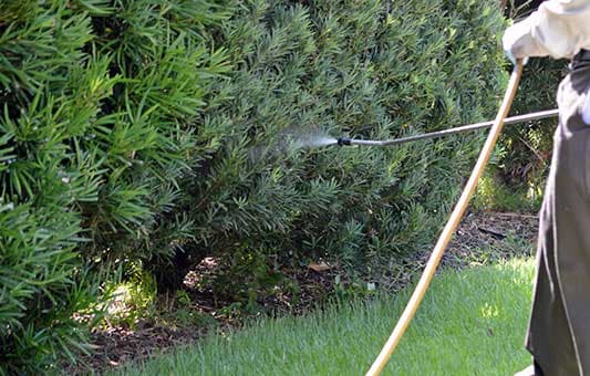 Residential Pest Control Services - Pest Control in Wetminster, CO