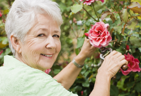 Elderly woman in garden in Canberra