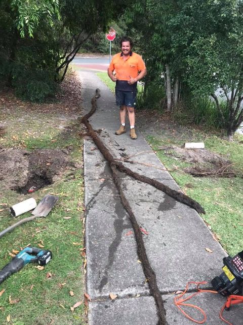 Blocked Drains — F & M Plumbers & Drainers In Kunda Park QLD Blocked Drains — F & M Plumbers & Drainers In Kunda Park QLD