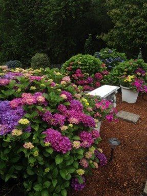 Flower — Top-Quality Hemlock & Red Fir Barkdust In Milwaukie, OR