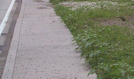 Commercial Concrete Sidewalk - Central Illinois