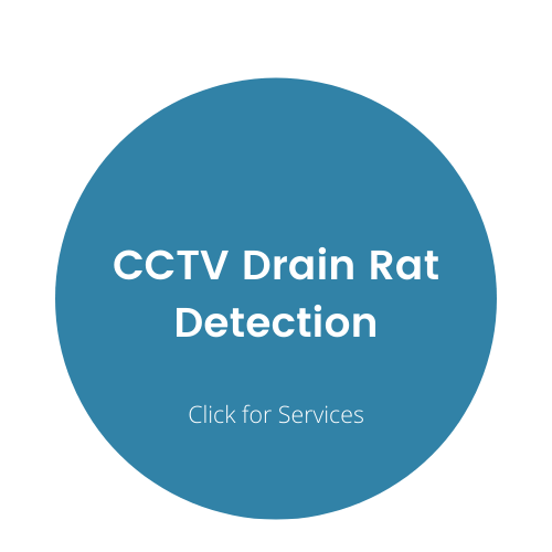 CCTV Drain Rat Detection