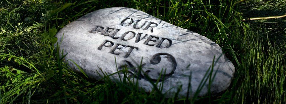 OUR BELOVED PET engraving