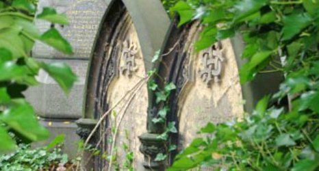 monument behind the leaves