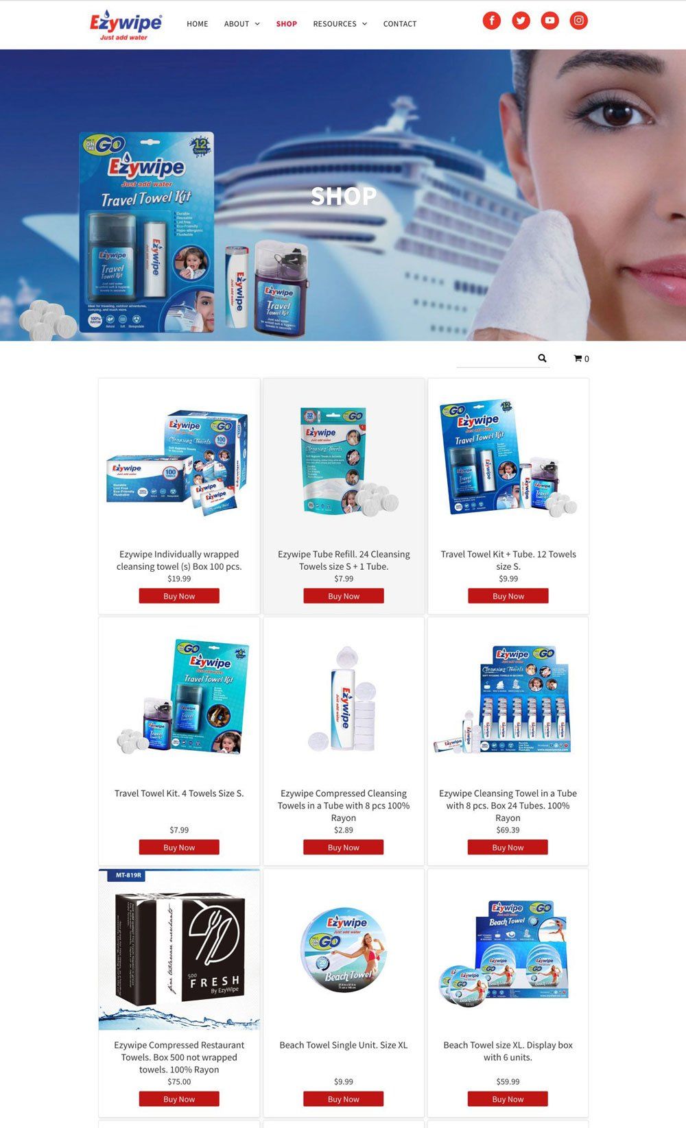 Ezywipe Logo, brand development and website