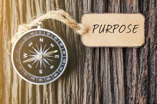 Fairy Castle Mission statement and purpose