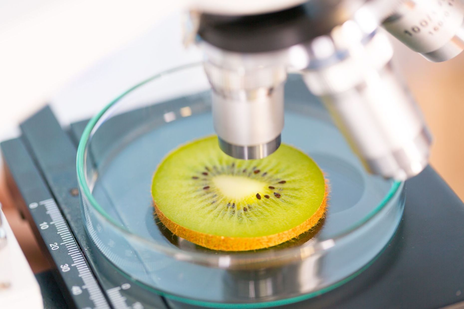 Analisi Kiwi