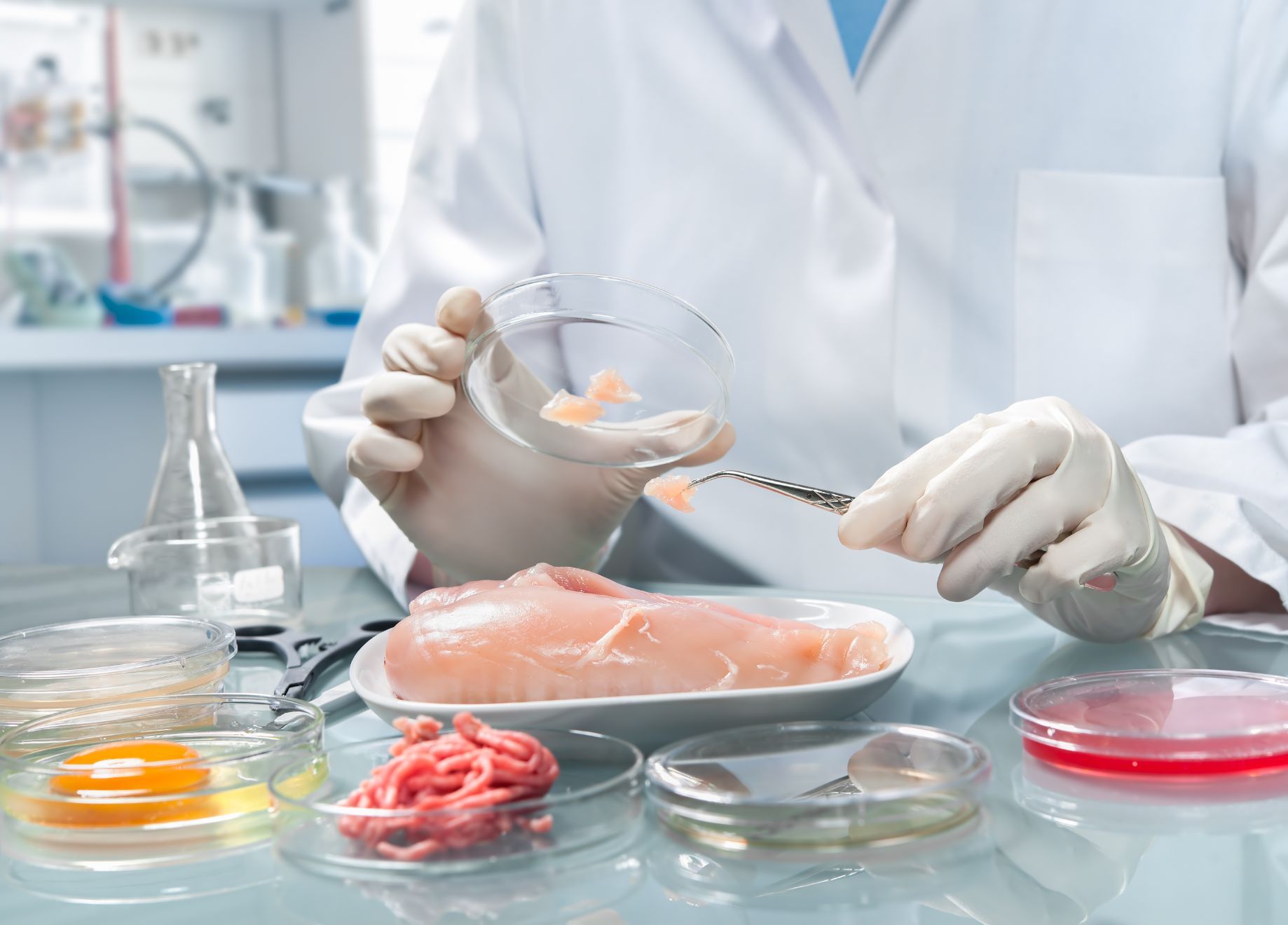 Analisi campioni di carne