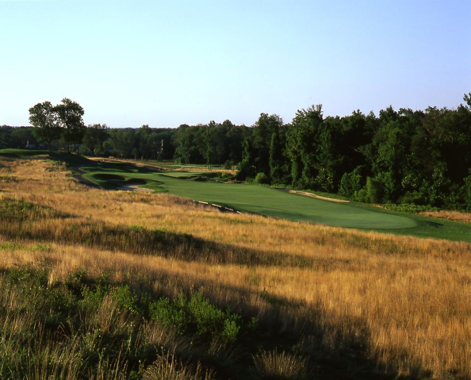 Golf green amidst tall, dry grasses, trees in the background under a clear sky.
