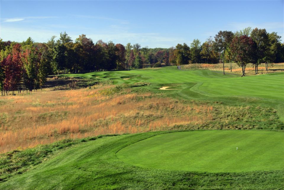 Green golf course with trees and blue sky.