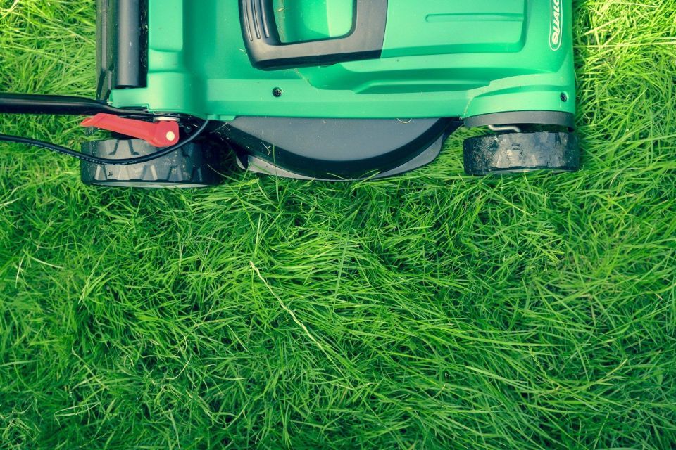 Green lawnmower on lush green grass, viewed from above.
