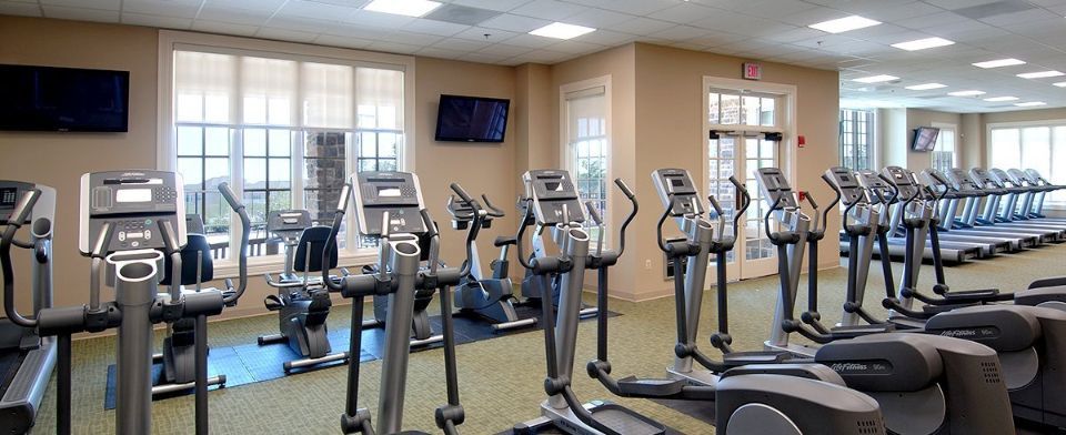 A well-lit gym with rows of elliptical machines and treadmills near large windows.