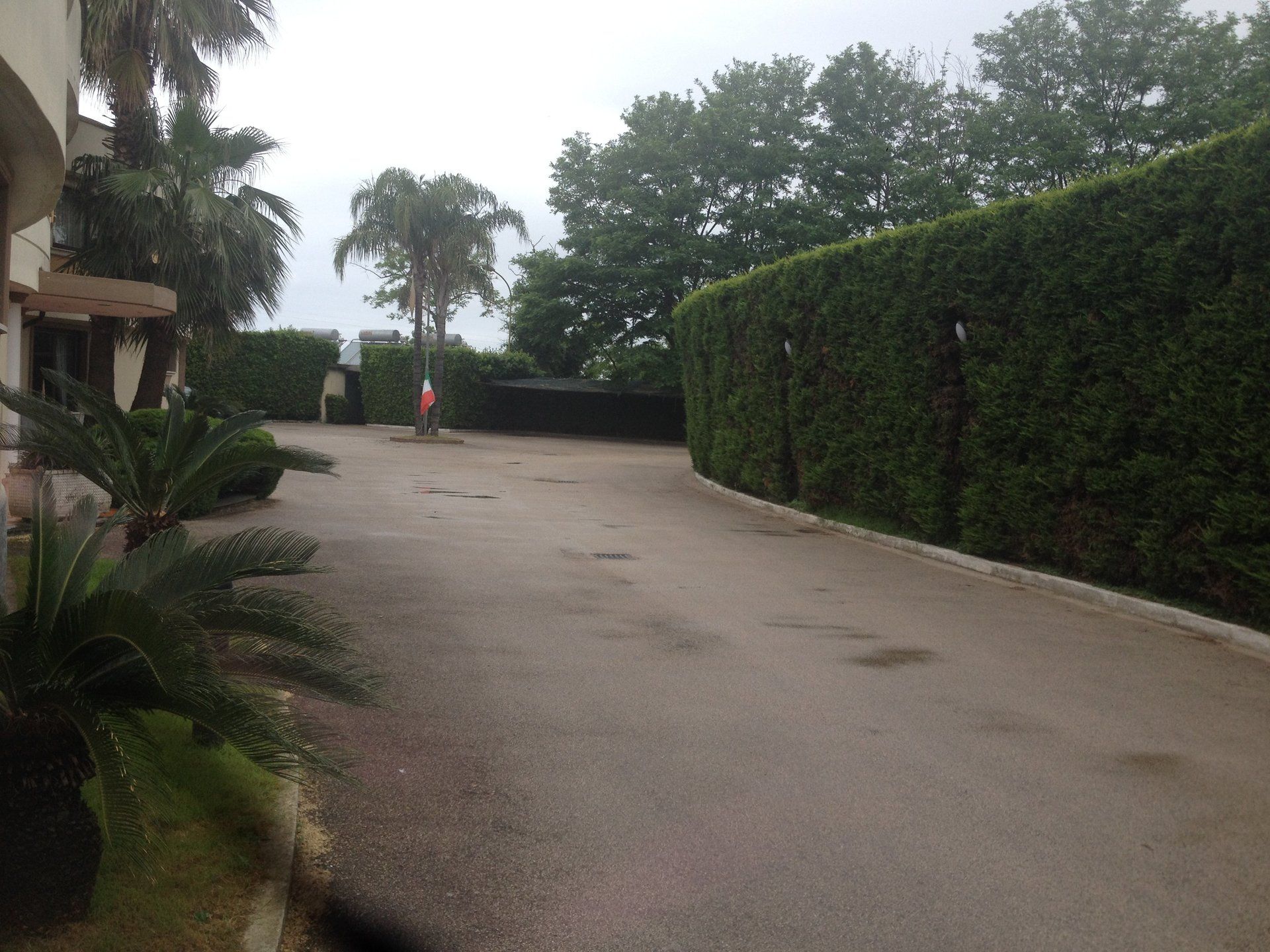 viale alberato dell hotel