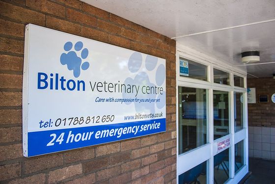 Bilton Vets Main Entrance Sign Main Entrance