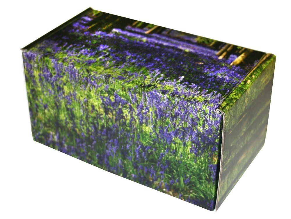 Scatter Box