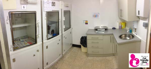 Our new cat kennel area Our newly refurbished cat kennels