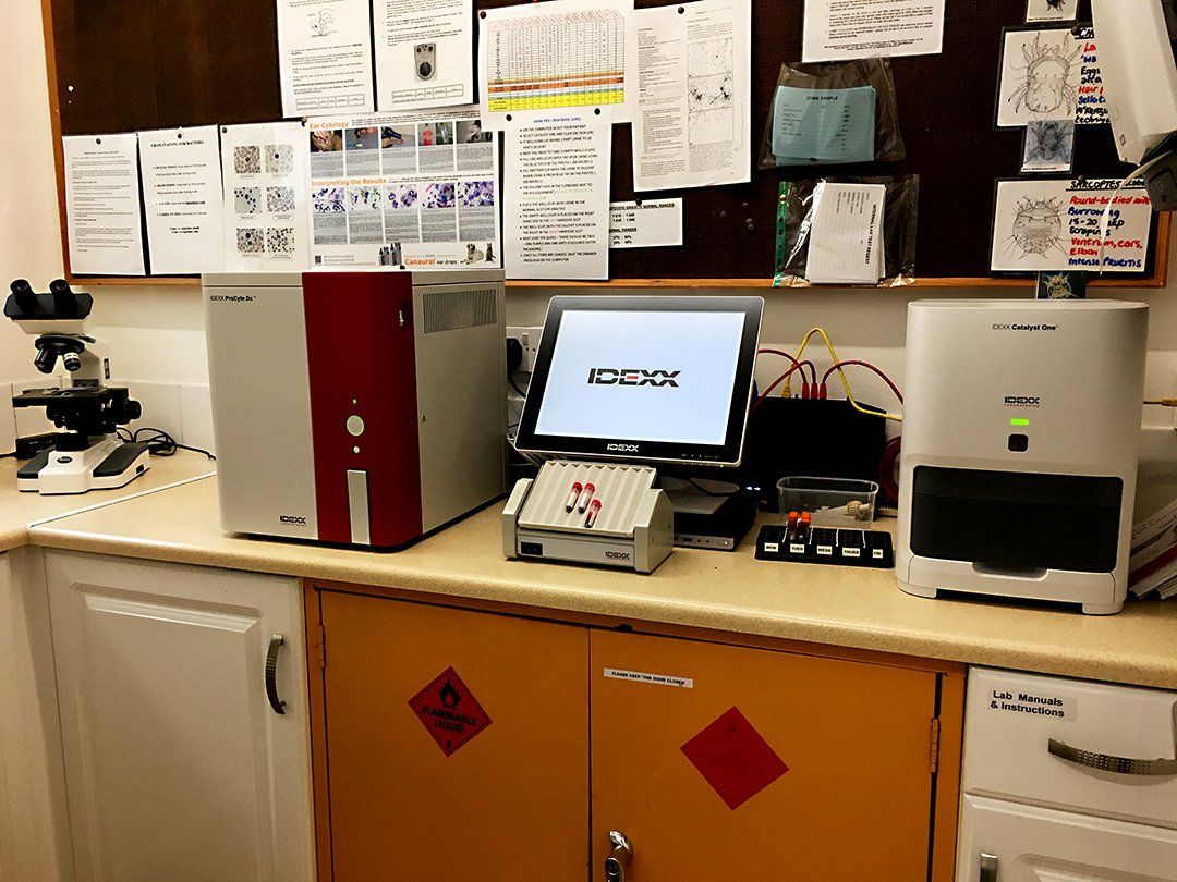 New IDEXX lab equipment installed