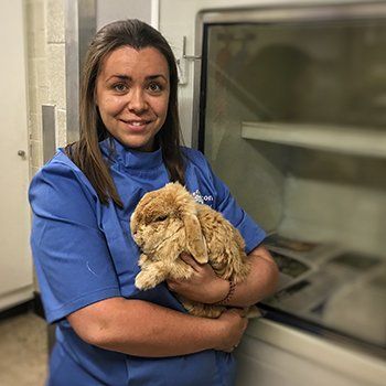 Verity Browning Verity Browning - Veterinary Surgeon