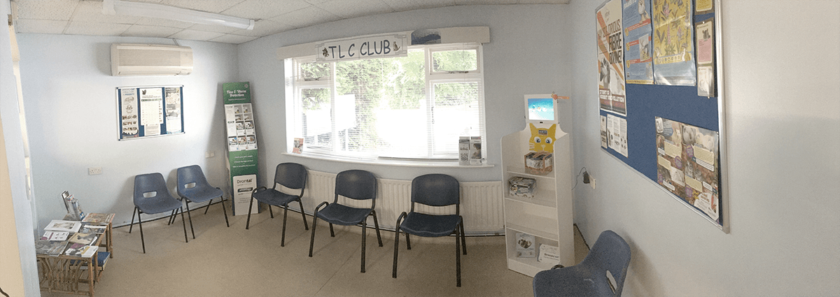 Our cat only waiting area. Our cat only waiting room away from dogs and the noise!
