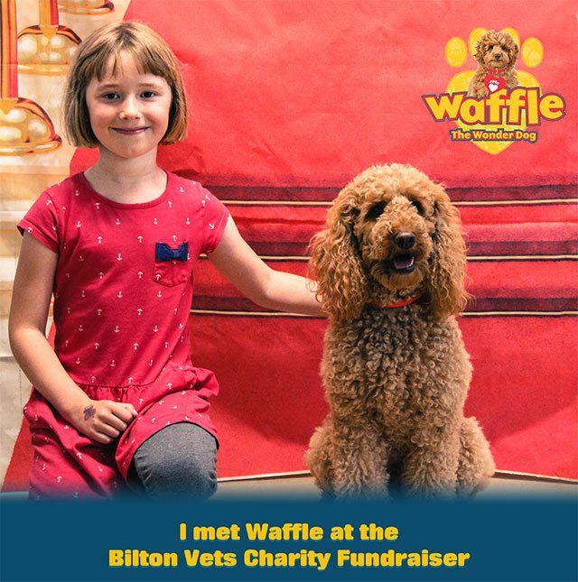 Child next to dog