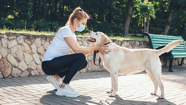 Dog greeting lady with mask on