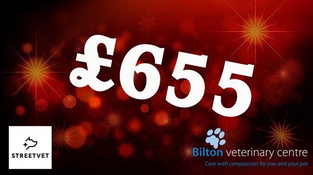We raised £655 on the day for Street Vet