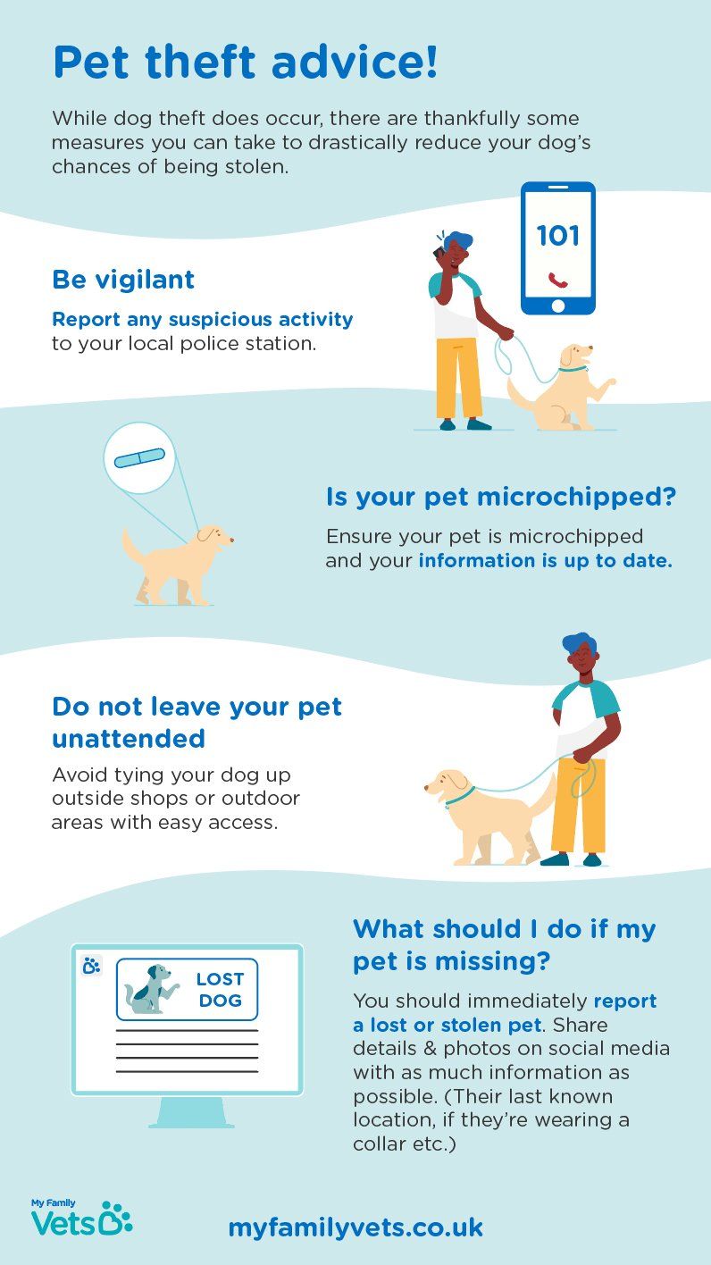Pet Theft adice infographic Pet Theft Advice infographic