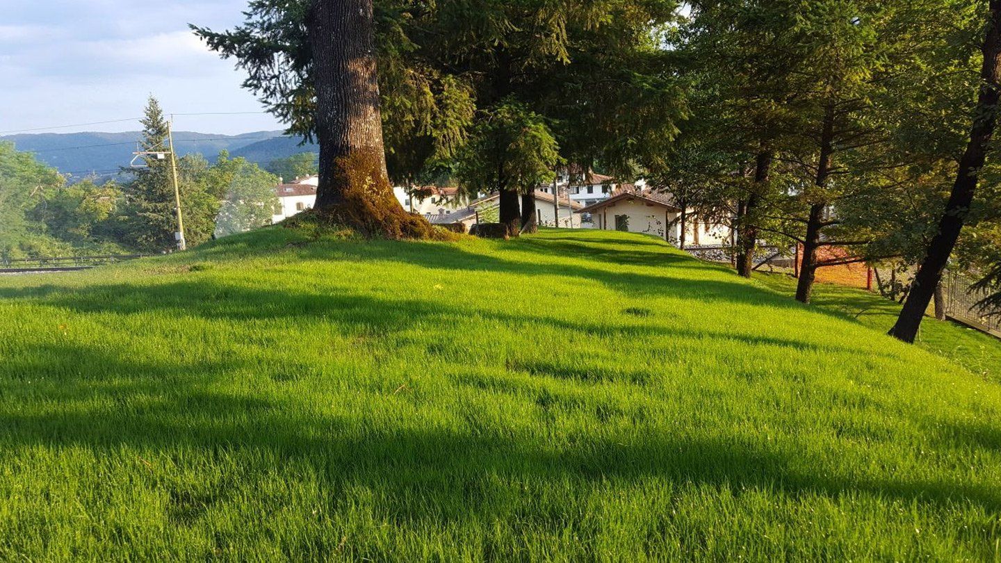 vista di un paesino da una collina