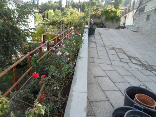 Giardino di una casa con fiori