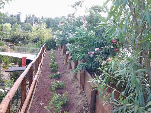 Orto in un giardino