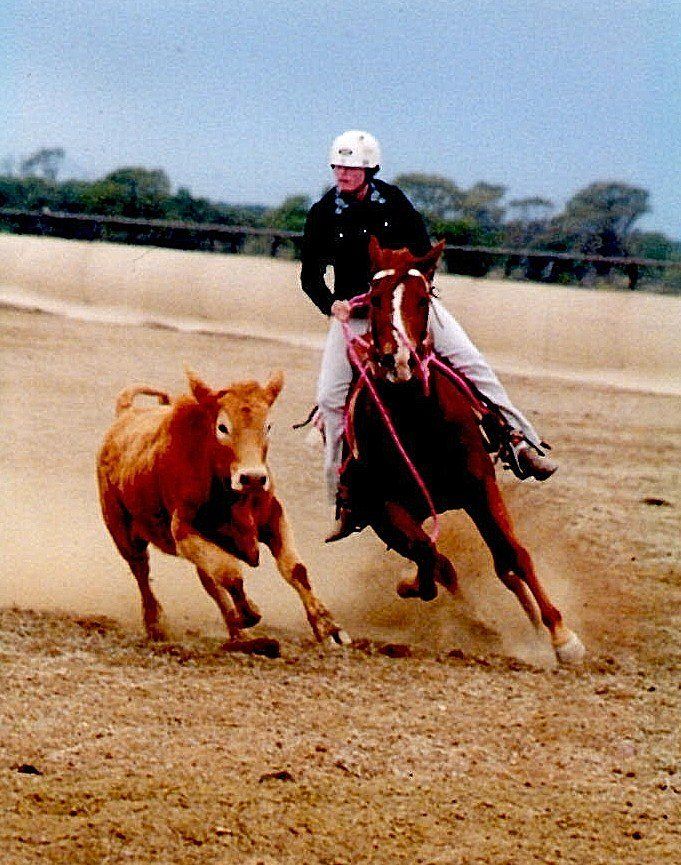 Does your Horse Play? Tips & Tricks