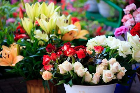 Rose rosse e rose rosa